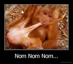 Nom Nom Nom... - 