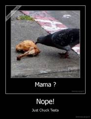 Nope! - Just Chuck Testa