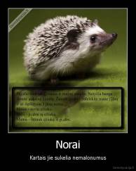 Norai - Kartais jie sukelia nemalonumus