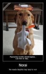 Norai - Ne visada išsipildo taip kaip tu nori