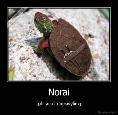 Norai - gali sukelti nusivylimą