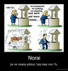 Norai - jie ne visada pildosi, taip kaip nori Tu.