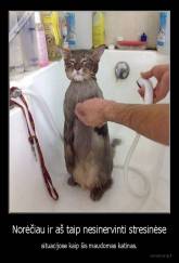 Norėčiau ir aš taip nesinervinti stresinėse - situacijose kaip šis maudomas katinas.