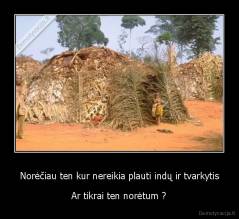 Norėčiau ten kur nereikia plauti indų ir tvarkytis - Ar tikrai ten norėtum ?