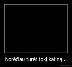 Norėčiau turėt tokį katiną... - 