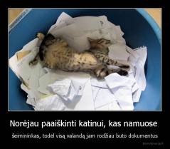 Norėjau paaiškinti katinui, kas namuose  - šeimininkas, todėl visą valandą jam rodžiau buto dokumentus