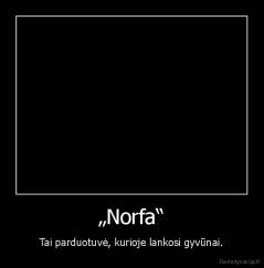 „Norfa“ - Tai parduotuvė, kurioje lankosi gyvūnai.