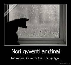 Nori gyventi amžinai - bet nežinai ką veikti, kai už lango lyja..