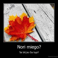 Nori miego? - Tai blt,ko čia tupi?