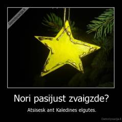 Nori pasijust zvaigzde? -  Atsisesk ant Kaledines elgutes.