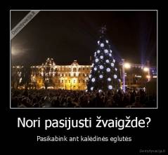 Nori pasijusti žvaigžde? - Pasikabink ant kalėdinės eglutės