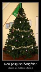 Nori pasijusti žvaigžde? - atsisėsk ant Kalėdinės eglutės ;)