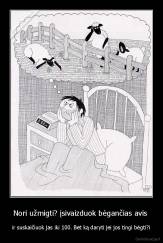 Nori užmigti? įsivaizduok bėgančias avis  - ir suskaičiuok jas iki 100. Bet ką daryti jei jos tingi bėgti?i