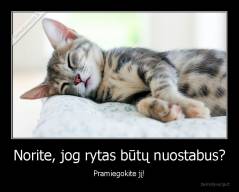 Norite, jog rytas būtų nuostabus? - Pramiegokite jį!