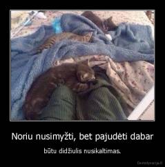 Noriu nusimyžti, bet pajudėti dabar - būtu didžiulis nusikaltimas.