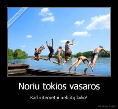 Noriu tokios vasaros - Kad internetui nebūtų laiko!