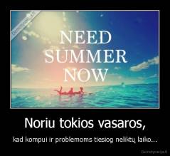 Noriu tokios vasaros, - kad kompui ir problemoms tiesiog neliktų laiko...