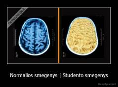 Normalios smegenys | Studento smegenys - 