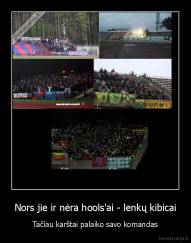 Nors jie ir nėra hools'ai - lenkų kibicai - Tačiau karštai palaiko savo komandas