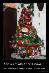 Nors kalėdos dar tik po 4 savaičių -  - Bet mes kalėdų eglutę jau norim puošti ir puošiam dabar.