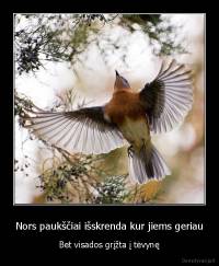 Nors paukščiai išskrenda kur jiems geriau - Bet visados grįžta į tėvynę