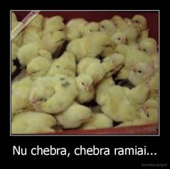 Nu chebra, chebra ramiai... - 