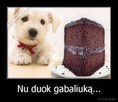 Nu duok gabaliuką... - 