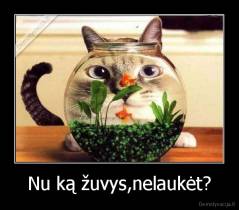 Nu ką žuvys,nelaukėt? - 