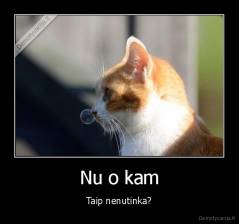 Nu o kam - Taip nenutinka?