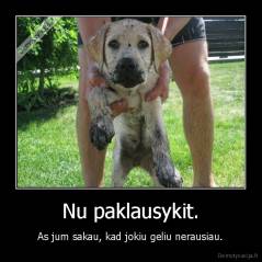 Nu paklausykit. - As jum sakau, kad jokiu geliu nerausiau.