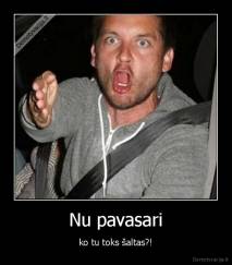 Nu pavasari - ko tu toks šaltas?!