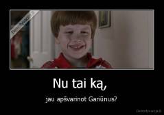 Nu tai ką,  - jau apšvarinot Gariūnus?