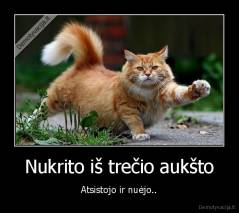 Nukrito iš trečio aukšto - Atsistojo ir nuėjo..