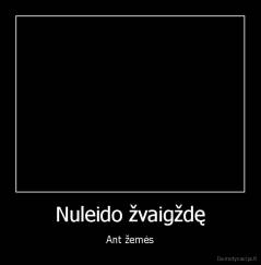 Nuleido žvaigždę - Ant žemės