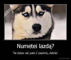 Numetei lazdą? - Tai dabar eik pats ir pasiimk, debile!