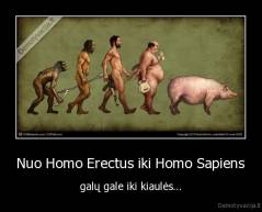 Nuo Homo Erectus iki Homo Sapiens - galų gale iki kiaulės...