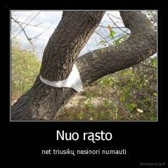 Nuo rąsto - net triusikų nesinori numauti