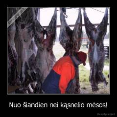 Nuo šiandien nei kąsnelio mėsos! - 