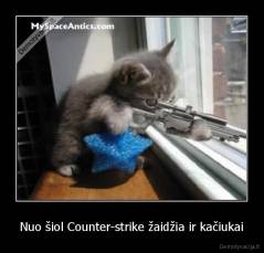 Nuo šiol Counter-strike žaidžia ir kačiukai - 