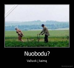 Nuobodu? - Važiuok į kaimą
