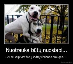 Nuotrauka būtų nuostabi... - Jei ne kaip visados į kadrą yledantis draugas....