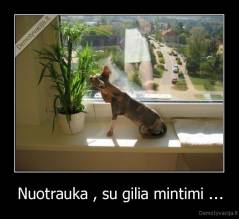 Nuotrauka , su gilia mintimi ... - 