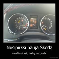 Nusipirksi naują Škodą - nevažiuosi nei į darbą, nei į sodą.
