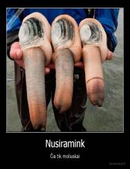 Nusiramink - Čia tik moliuskai