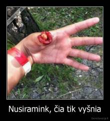 Nusiramink, čia tik vyšnia - 
