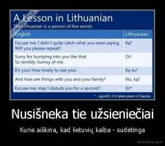 Nusišneka tie užsieniečiai - Kurie aiškina, kad lietuvių kalba - sudėtinga