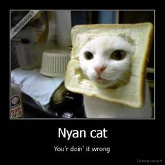 Nyan cat - You'r doin' it wrong