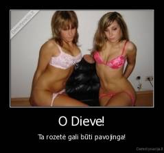 O Dieve! - Ta rozetė gali būti pavojinga!