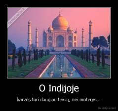 O Indijoje - karvės turi daugiau teisių, nei moterys...