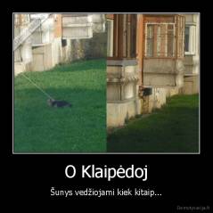 O Klaipėdoj - Šunys vedžiojami kiek kitaip...